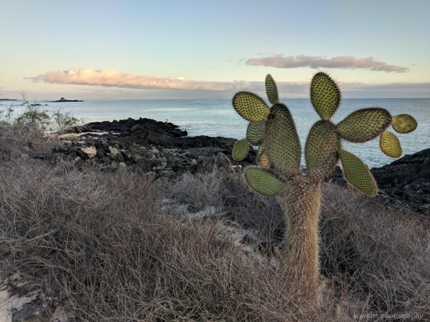 Bachas Beach, Santa Cruz Island