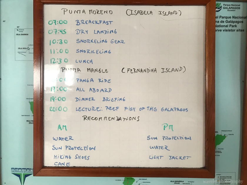 Itinerary of Punta Mangle and Punta Mangle