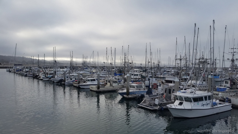 Half Moon Bay Harbor