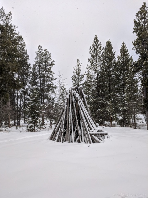 Snowshoe Excursion