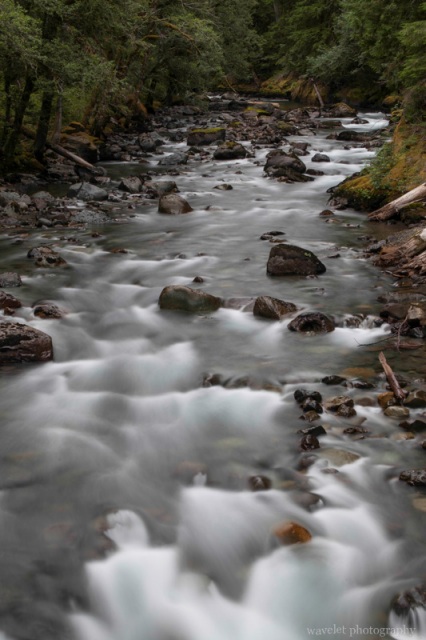 Ohanapecosh River, Mt. Rainier