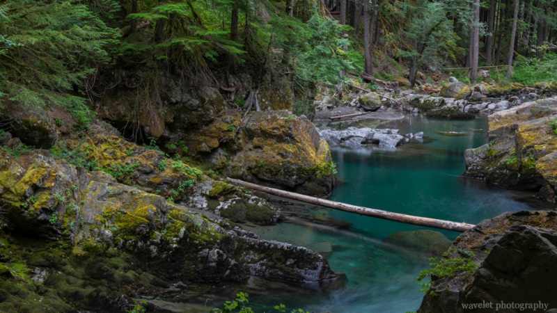 Ohanapecosh River, Mt. Rainier
