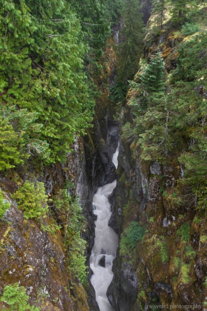 Box Canyon, Mt. Rainier