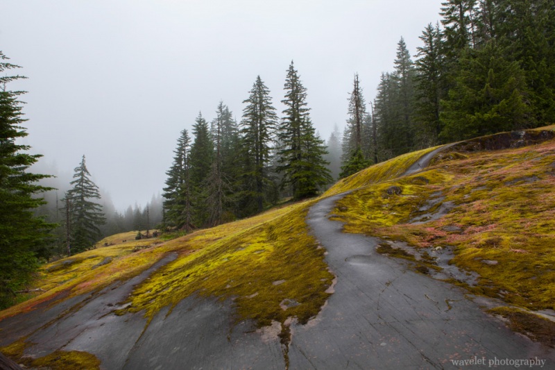 Box Canyon Loop, Mt. Rainier