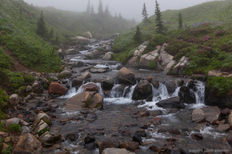 The creek near Myrtle Falls, Skyline Trail, Paradise, Mt. Rainier