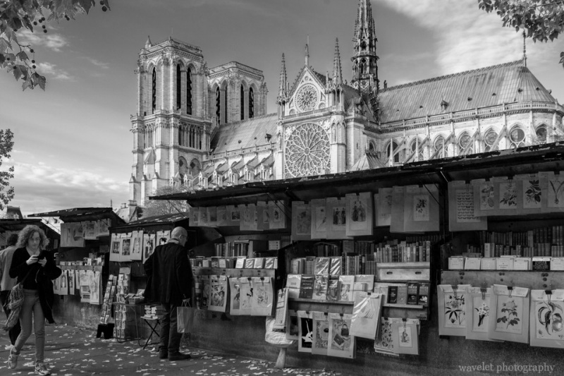 Bouquinistes by the Siene and Notre-Dame, Paris