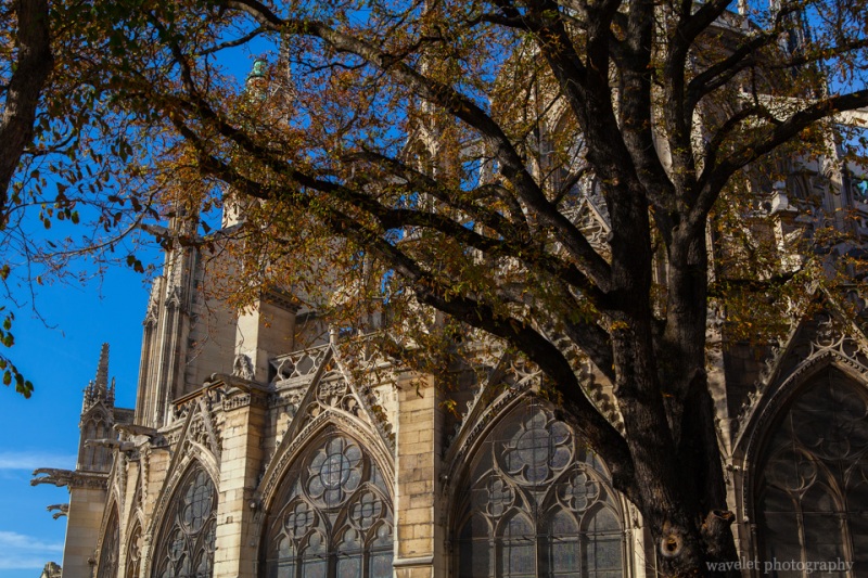 Notre-Dame in autumn, the eastern side of the cathedral, Paris