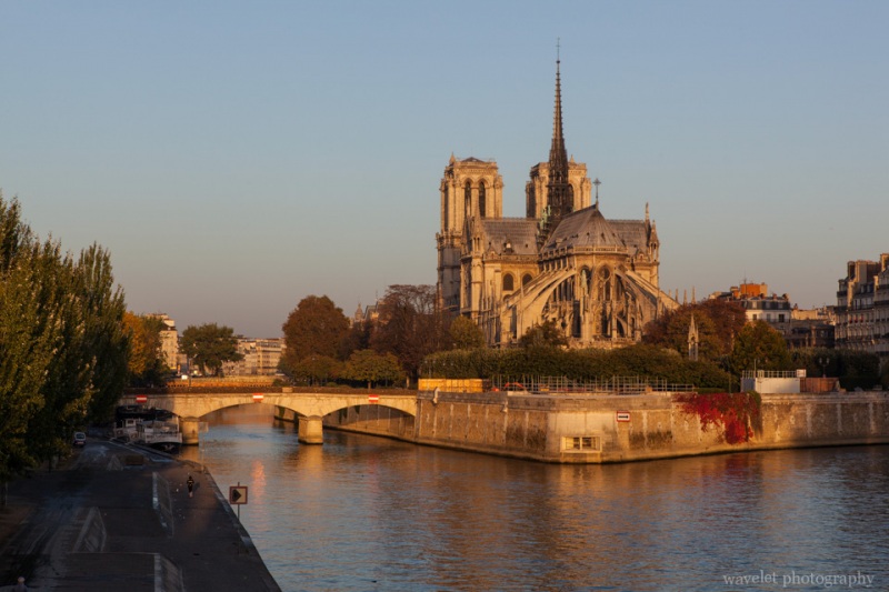 Notre-Dame and Pont de l\'Archevêché that connects Île de la Cité with the Left Bank, Paris