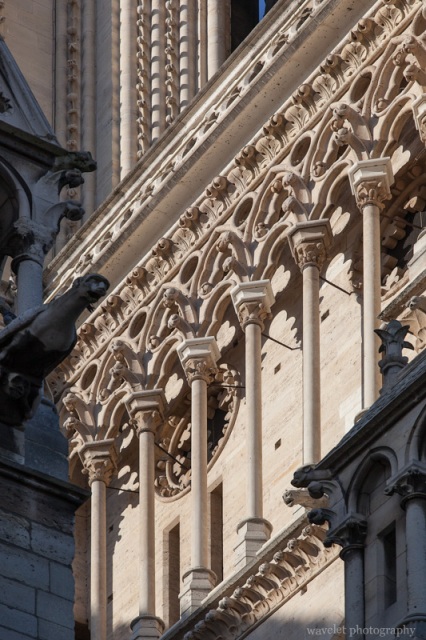 Gallery of Notre Dame de Paris