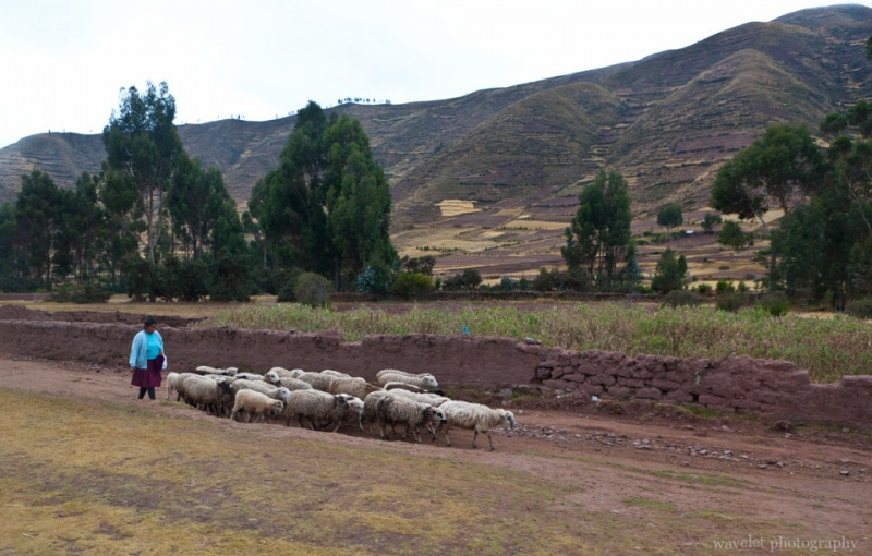 Village in Sacred Valley