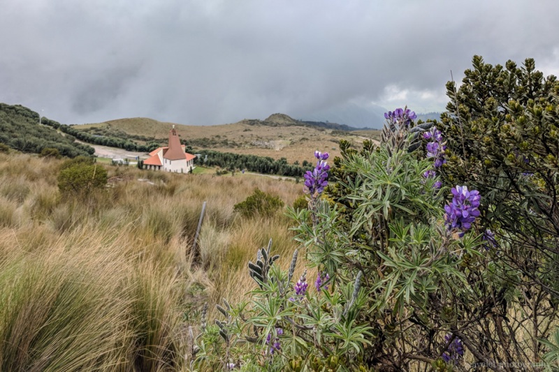 Cruz Loma