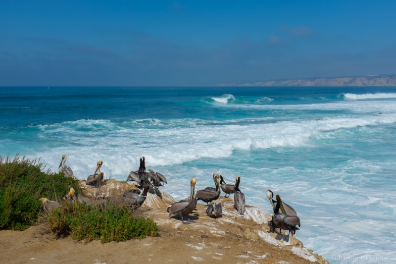 La Jolla Cove, San Diego
