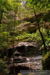 Demon\'s Leap