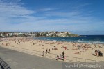 Bondi Beach