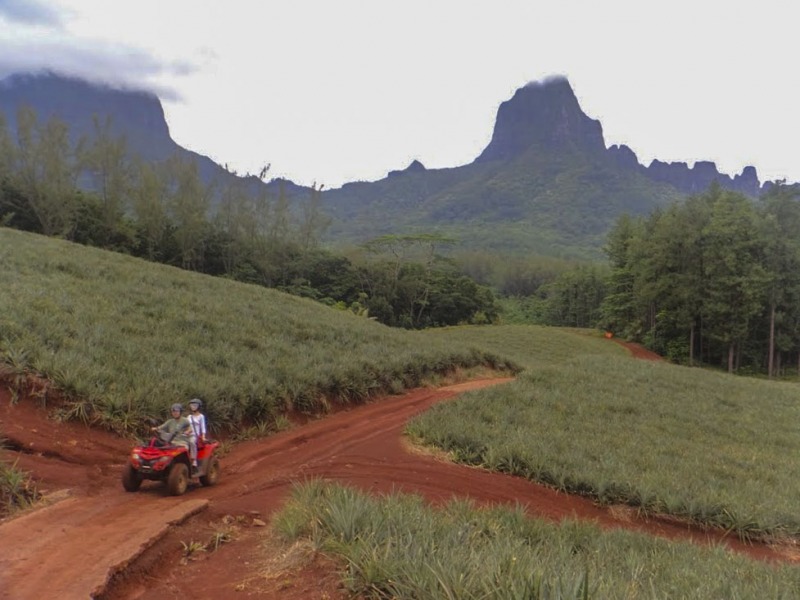 Moorea ATV Tour