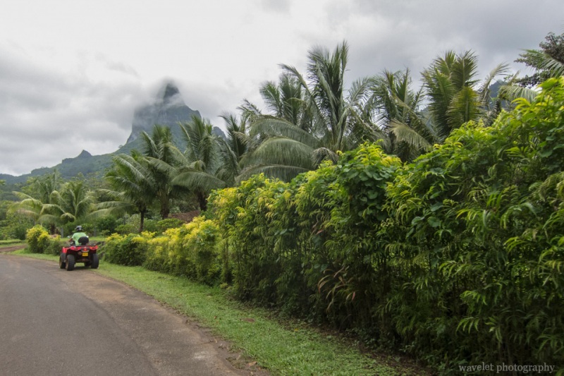 Moorea ATV Tour