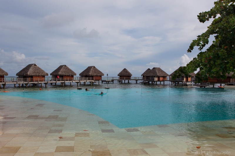 Infinity Pool, Moorea Pearl Resort