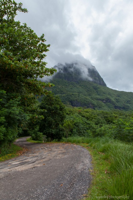 Moorea ATV Tour
