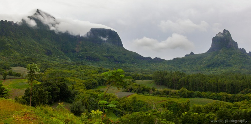Moorea\'s volcanic crater and plantations, Moorea ATV Tour