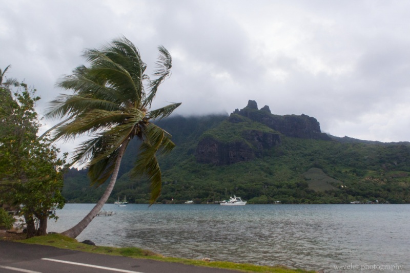 Cook\'s Bay, Moorea