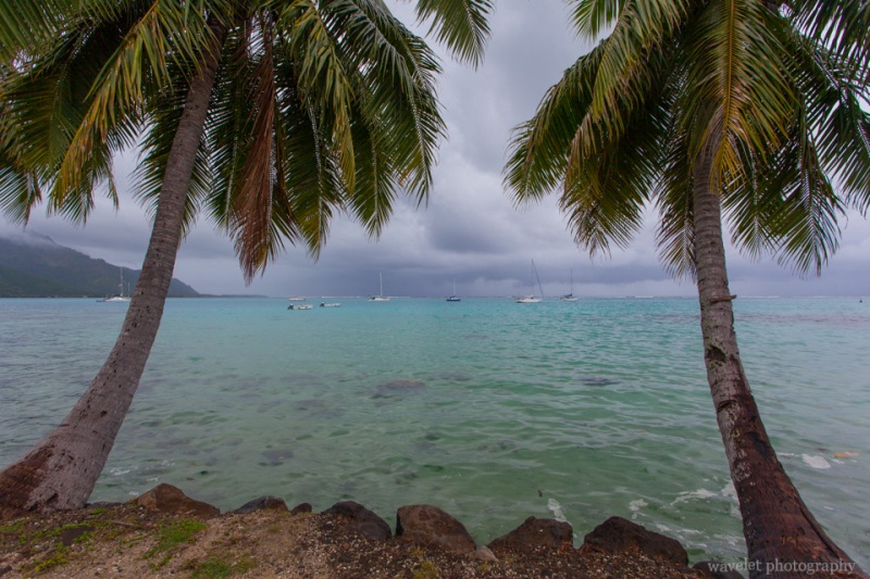 Near Opunohu Bay, Moorea