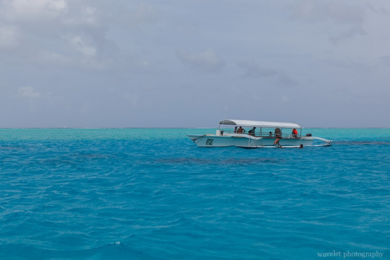 Shark and Ray feeding tour, Bora Bora