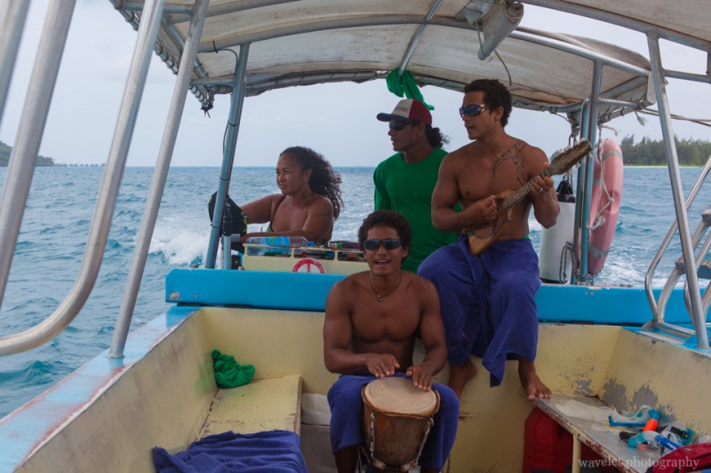 Shark and Ray feeding tour, Bora Bora