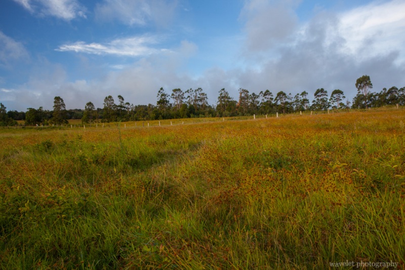 Near Ahu Akivi, Easter Island