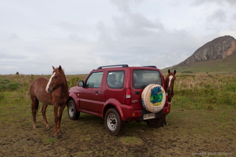 Near Ahu Tongariki, Easter Island