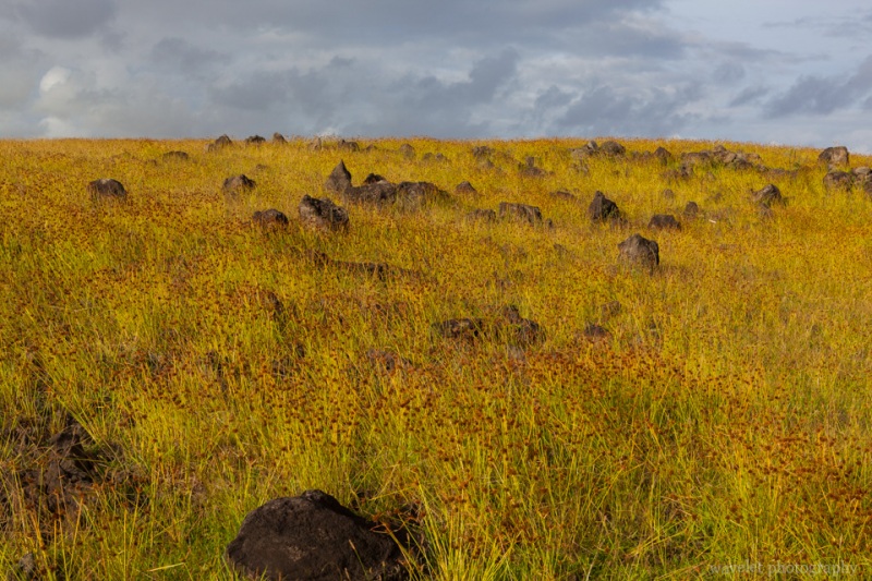 The south coast of Easter Island