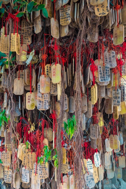莿桐花巷，台南
