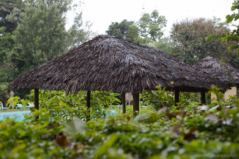 Ilboru Safari Lodge, Arusha, Tanzania