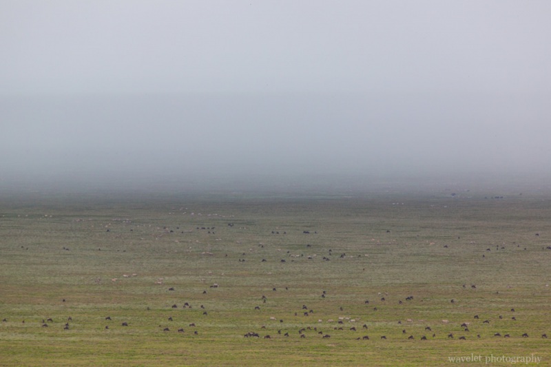 Storm is approaching Naabi Hill, Serengeti National Park