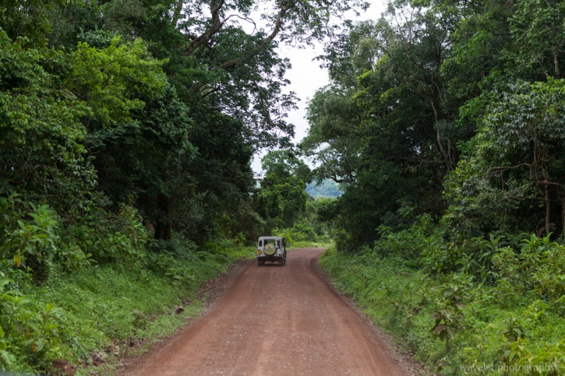 Game drive at Arusha National Park, Tanzania