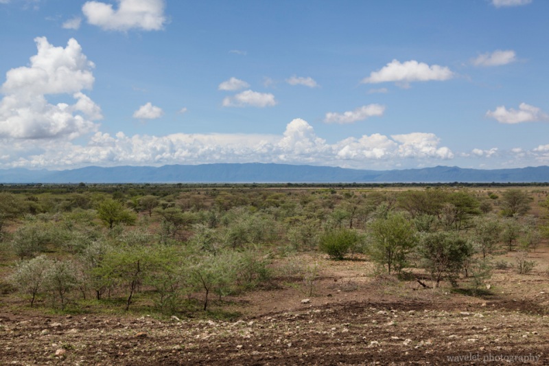 From Tarangire to Lake Manyara