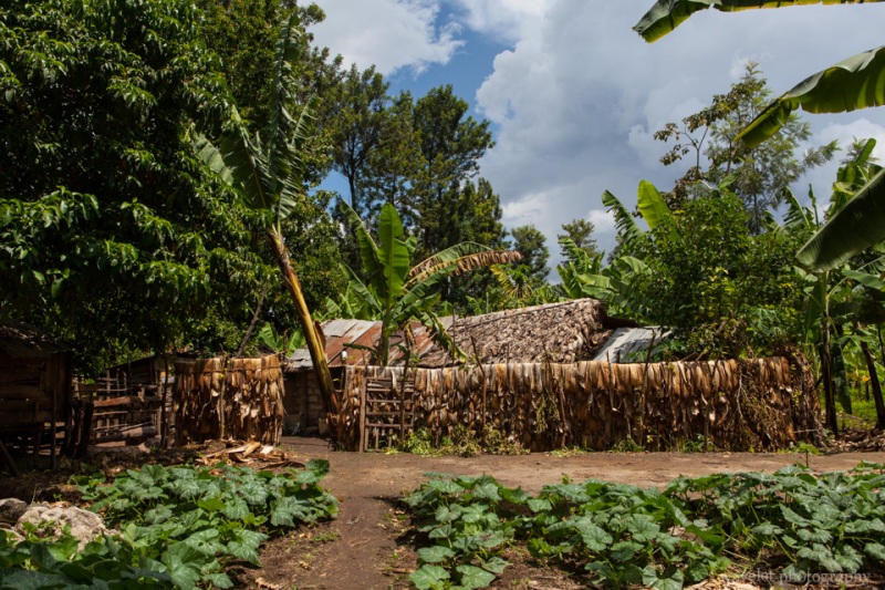 Village near Mto wa Mbu