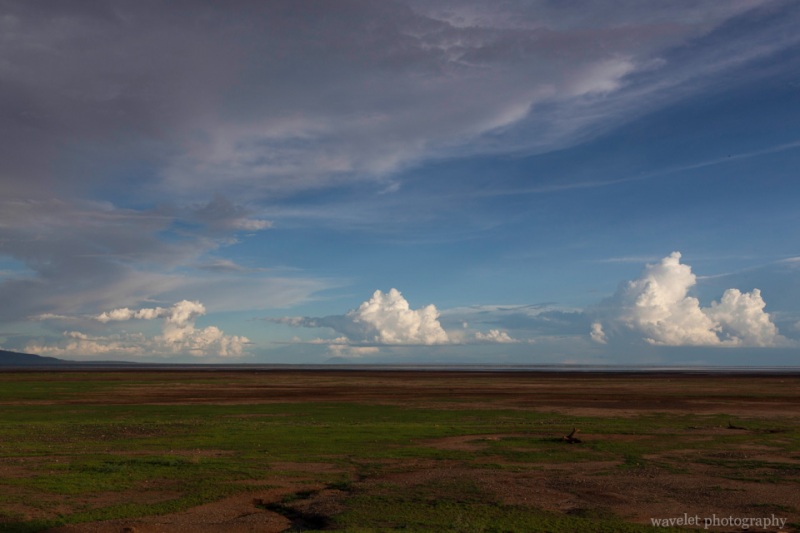Lowland in the south end of Lake Manyara National Park