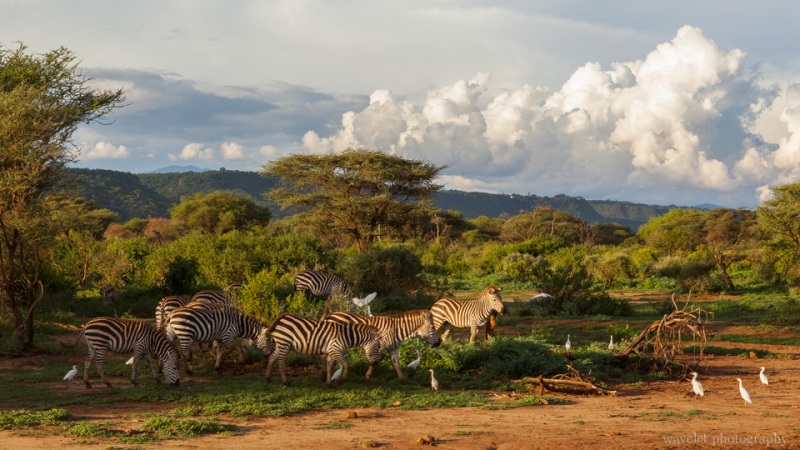 Lake Manyara National Park