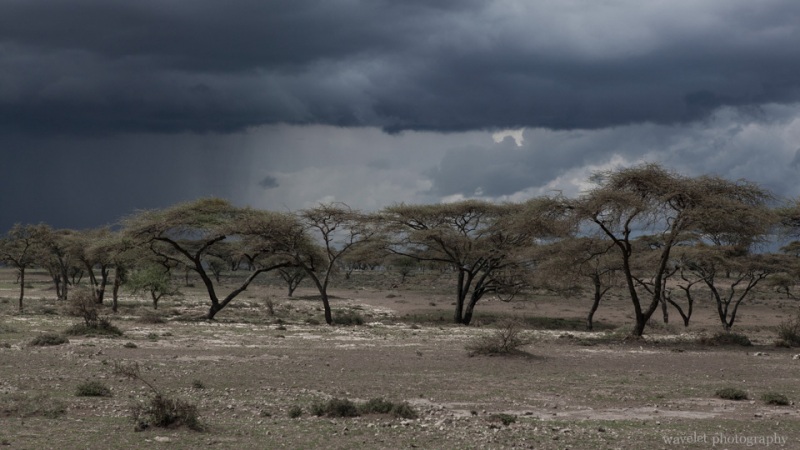 Thunderstorm near Oldupai Gorge