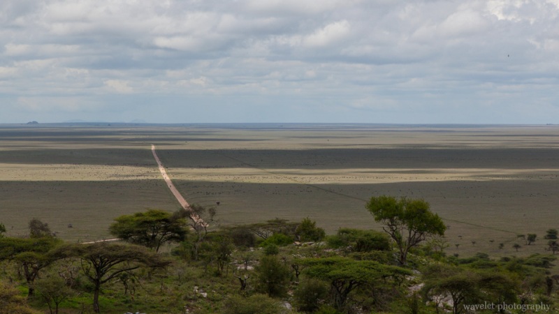 Overlook Southern Serengeti and animals in migration from Naabi Hill