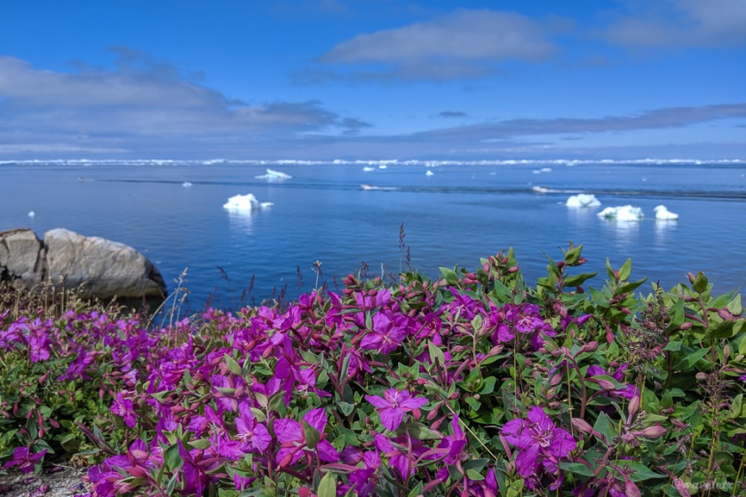 Hotel Icefiord, Ilulissat, Greenland