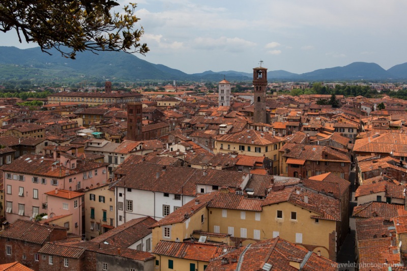 Lucca as seen from the top of the Guinigi tower