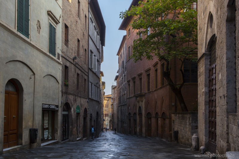 Siena