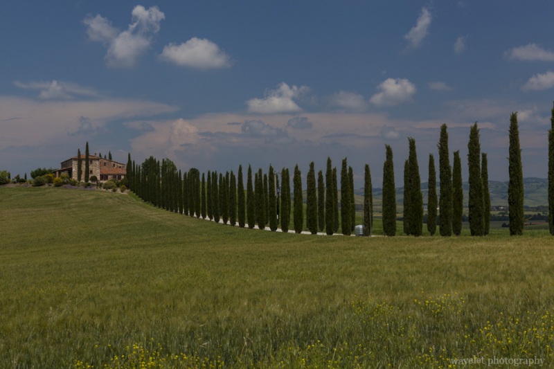 Near San Quirico D'orcia, Southern Tuscany
