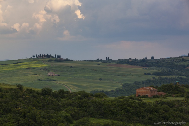 On SP137, near Torrenieri, Southern Tuscany