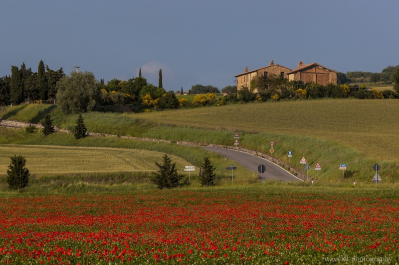 Intersection of SP del Monte Amiata and SP88, Southern Tuscany