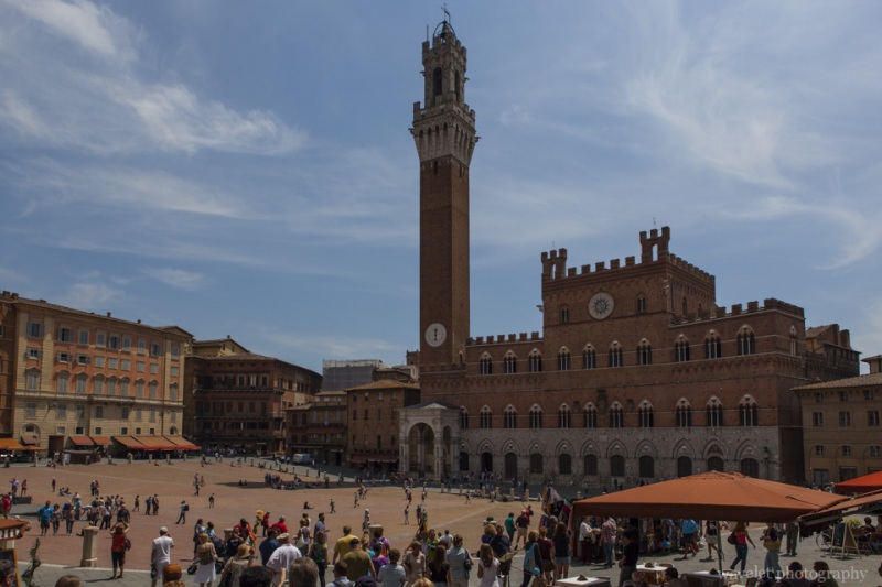 Torre del Mangia and Palazzo Pubblico, Siena