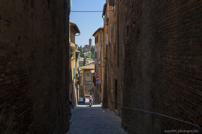 The church of Santa Maria dei Servi, Siena