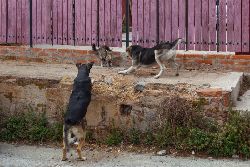 Valparaiso