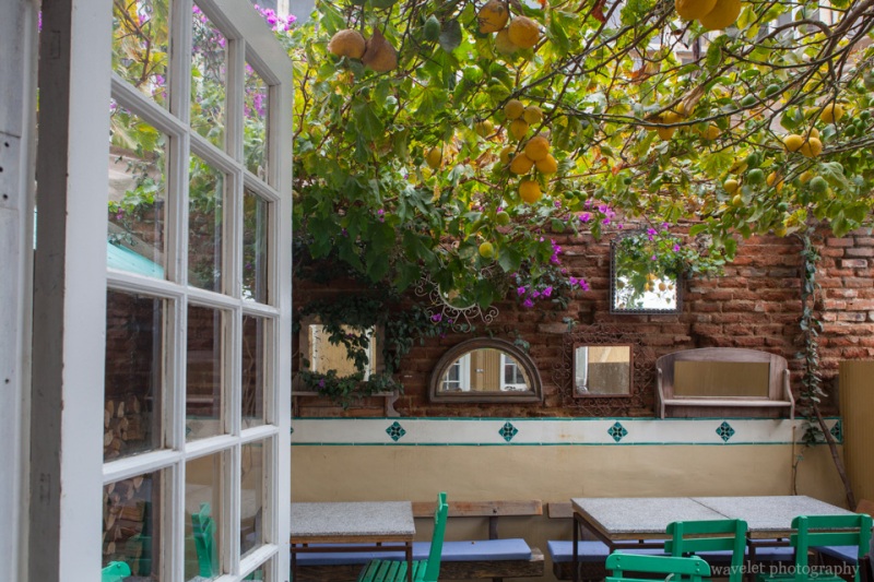 Backyard of a fance restaurant, Valparaiso
